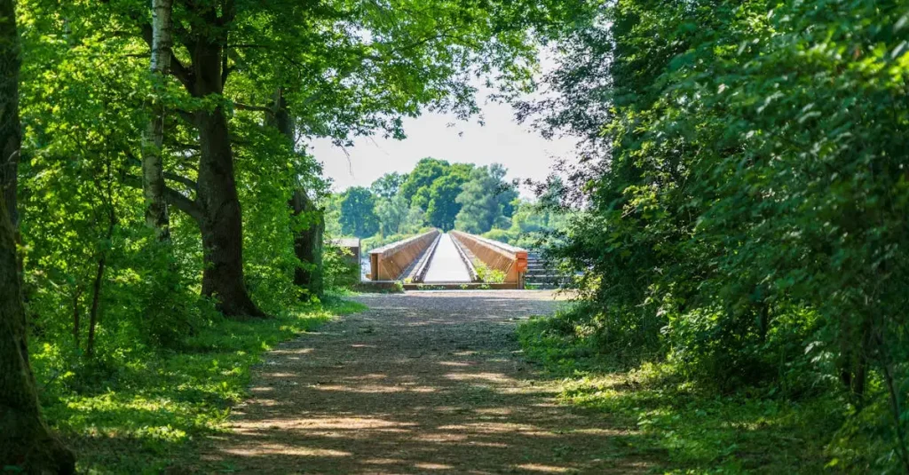 Ns wandelroute Utrecht: Ontdek de mooiste paden